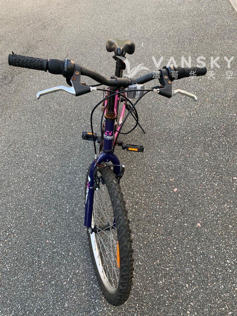 260503195444_Ross 24 inch bike 3O5.jpeg